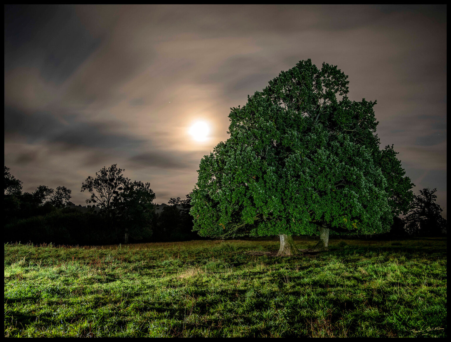 Arbre atomique